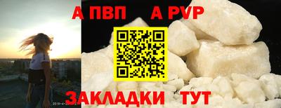 гашик Тара